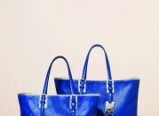 LM Cuir Longchamp