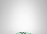 Bottega Veneta p/e 2014