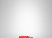 Bottega Veneta p/e 2014