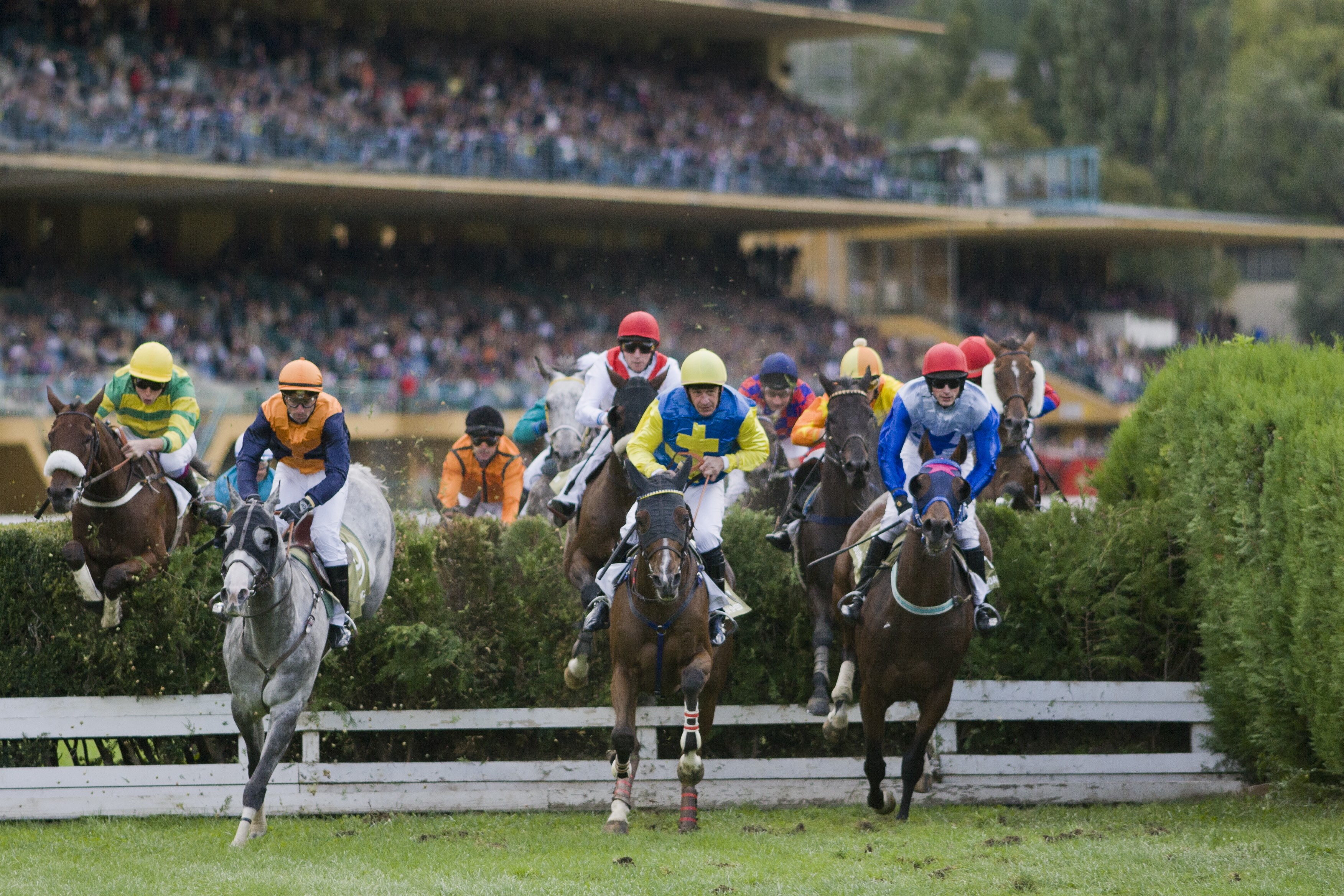 Ippodromo di Maia: al via il weekend dell’87º Gran Premio Merano Alto Adige