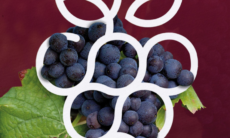 “Autunno in Cantina”: sette tappe itineranti tra le cantine siciliane dal 3 al 25 ottobre 2026