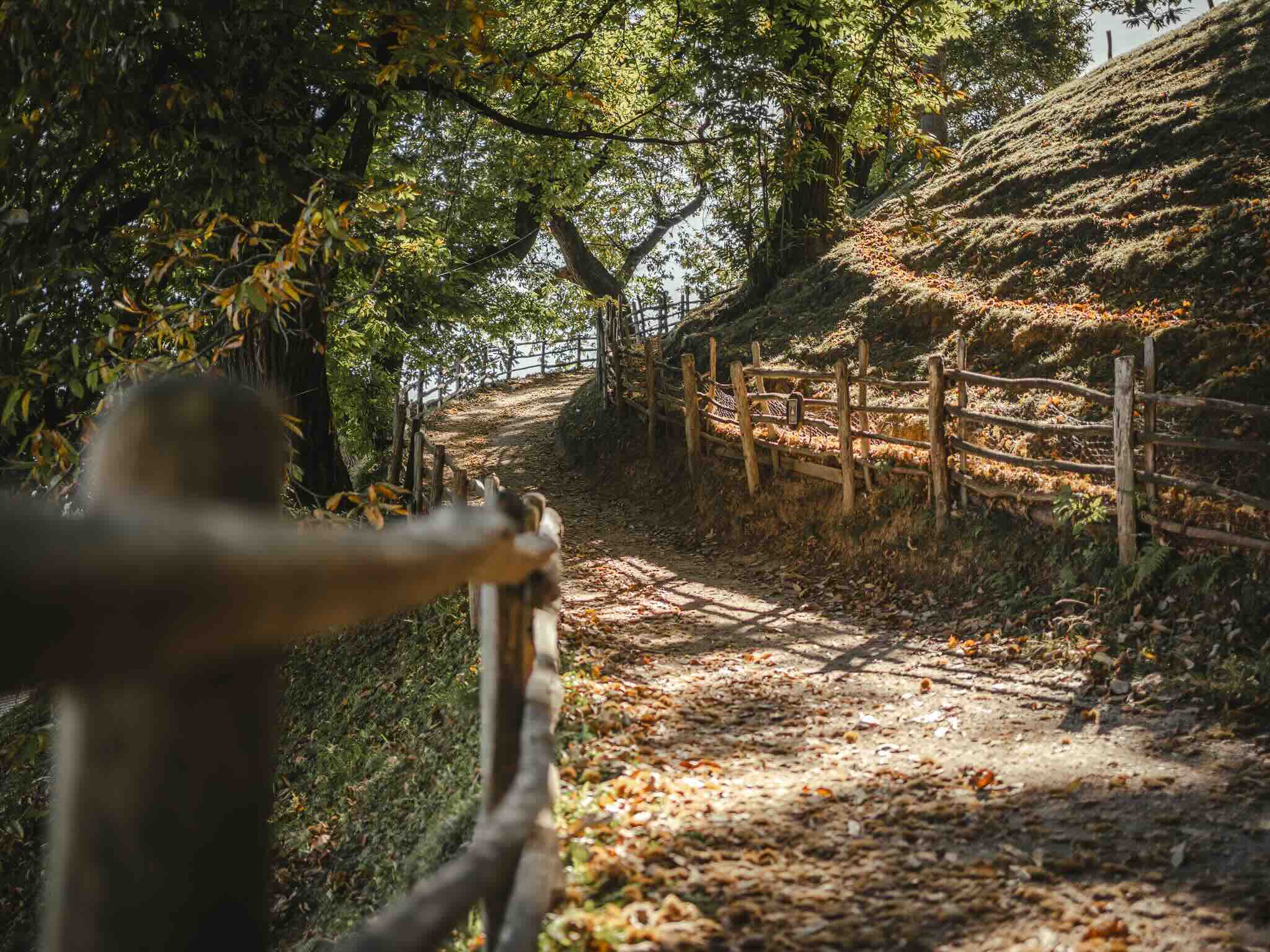 Autunno a Lana in Alto Adige: natura, escursioni e tradizioni tra i colori della stagione