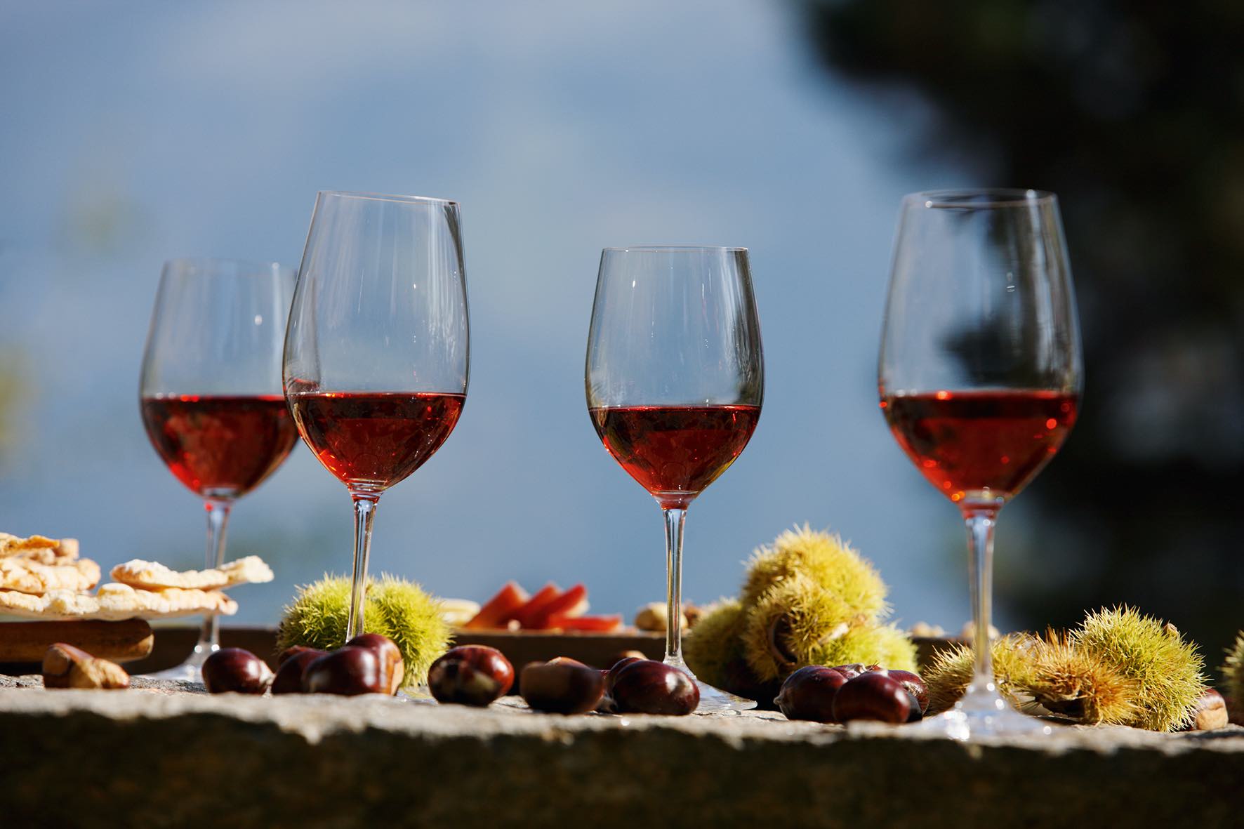 Tirolo in Alto Adige: natura, cultura e gastronomia a pochi passi da Merano