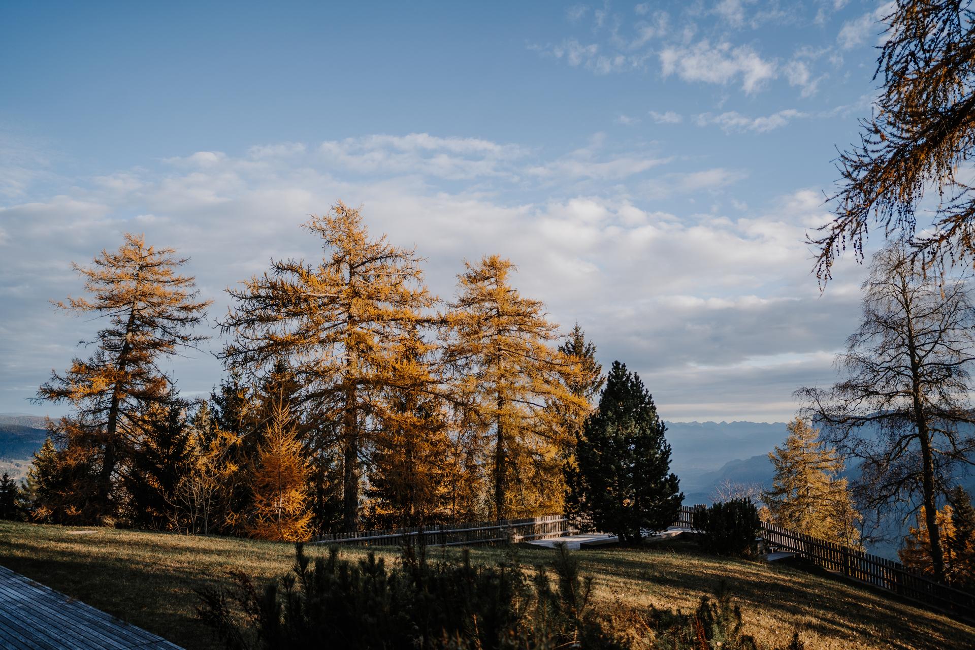 Il foliage autunnale e l'Erntedankfest al vigilius mountain resort sotto Una Chiave Michelin — Foto: ufficio stampa Ufficio Stampa vigilius mountain resort - Theoria