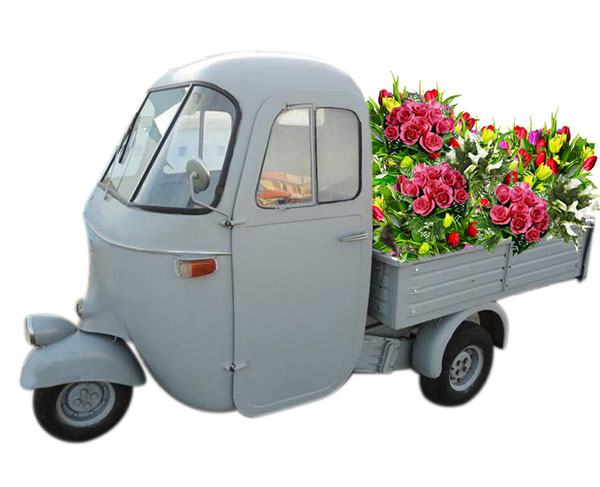 Braccialini Flower Express