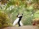 Bomboniere per matrimonio: 4 idee di tendenza nel 2022
