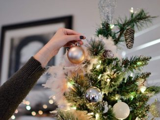 Come fare albero di Natale 2023: idee illuminanti e mai viste prima
