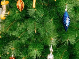 Come aprire i rami dell'albero di Natale in modo perfetto e facilissimo
