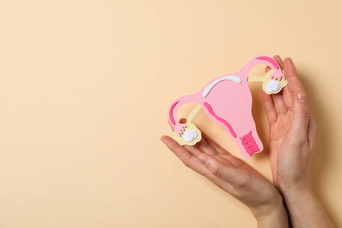 Modello colorato dell'utero, con attenzione particolare alle ovaie, utilizzato per spiegare l'endometriosi e la salute femminile.