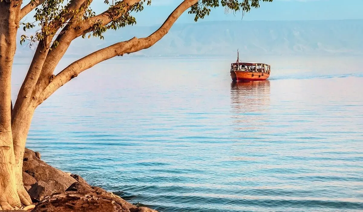 Una barca tradizionale naviga tranquillamente sul Mar di Galilea, con un albero che sporge dalla riva e l'acqua calma e riflettente.
