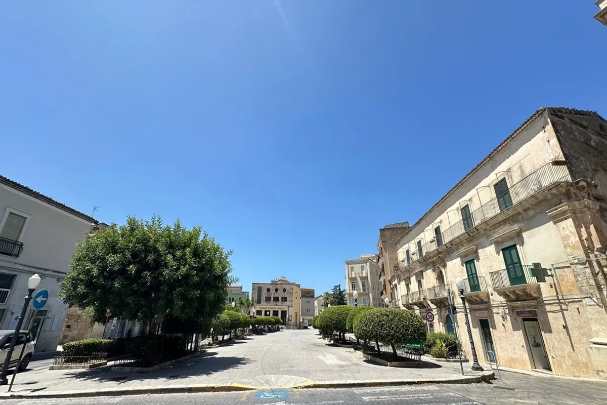 Piazza spaziosa con fila di alberi potati al centro, edifici storici in pietra e cielo terso