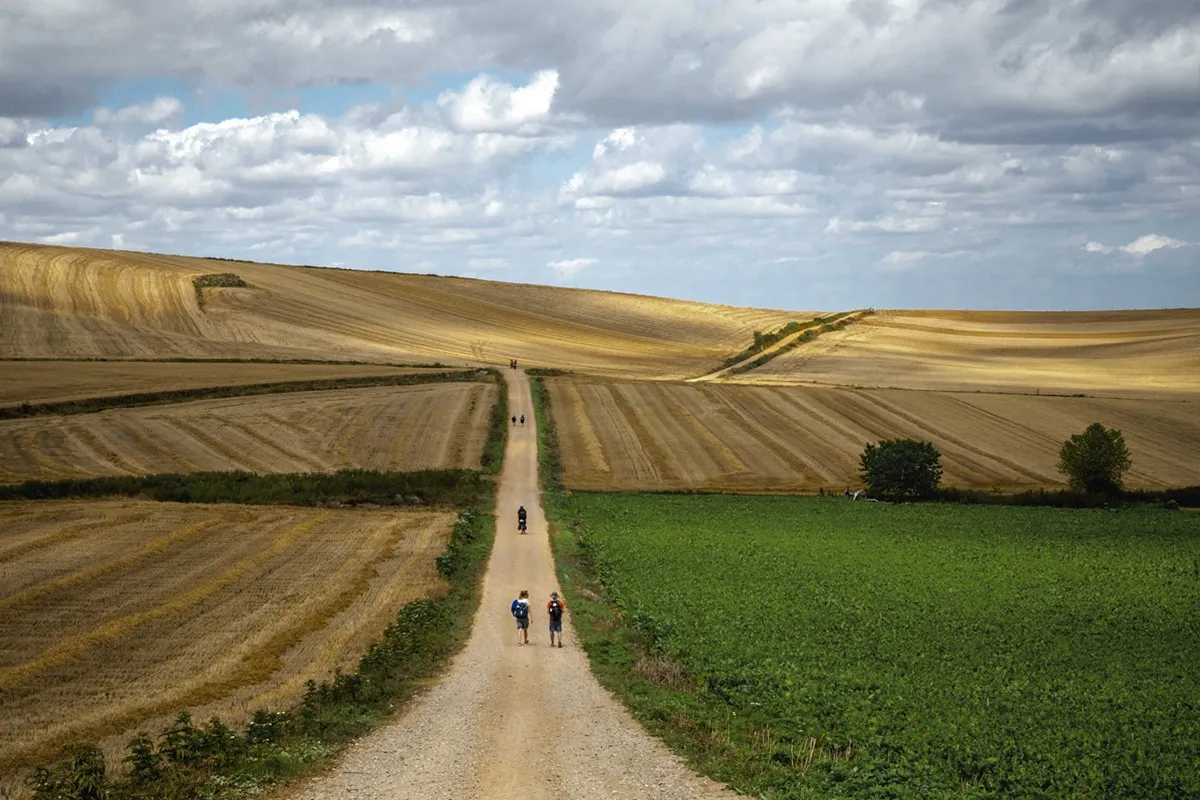 Pellegrini che percorrono una lunga strada sterrata circondata da campi coltivati sotto un cielo nuvoloso lungo il Cammino di Santiago in Spagna.