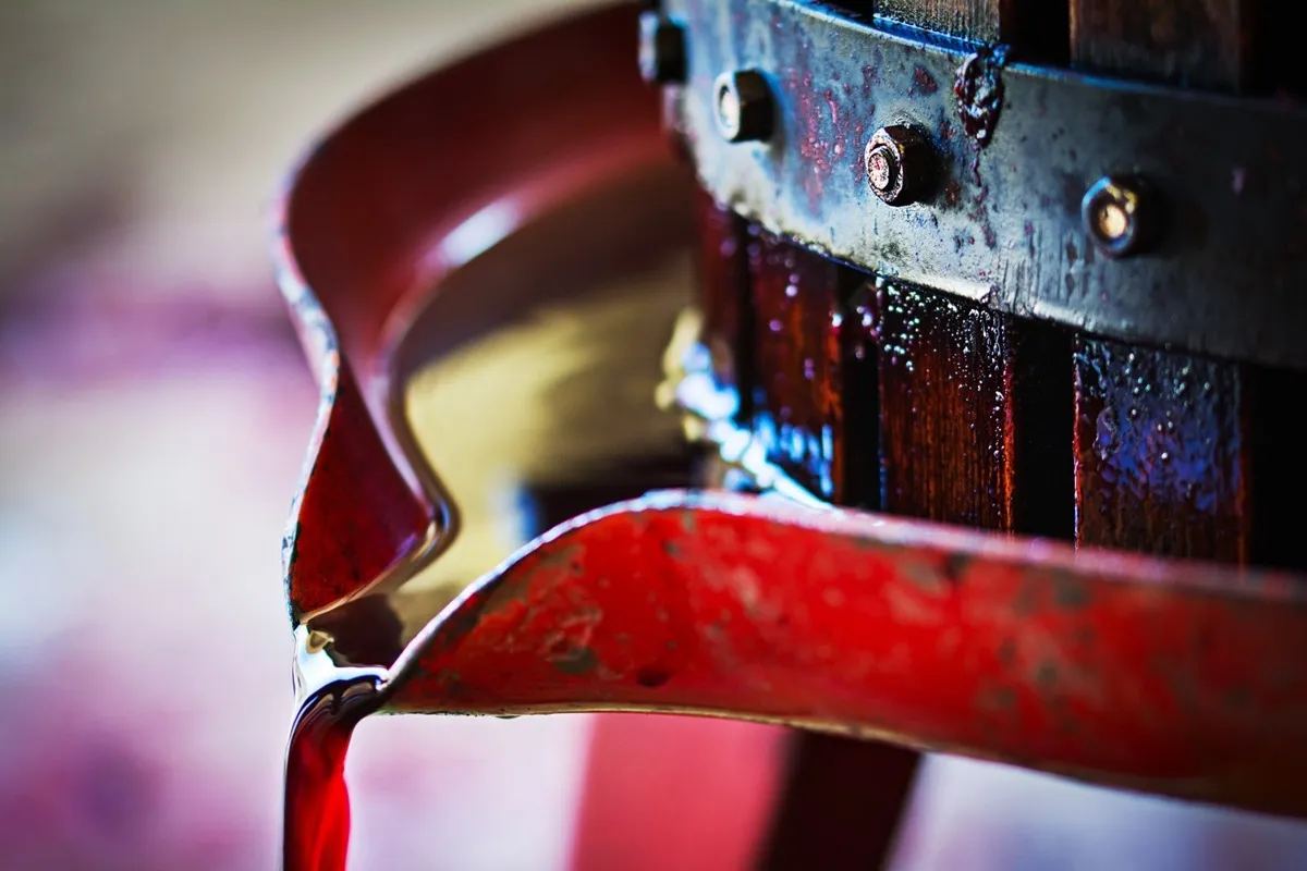 Dettaglio di un torchio tradizionale per la pigiatura dell’uva, con il mosto rosso che scorre dalla pressa in metallo.