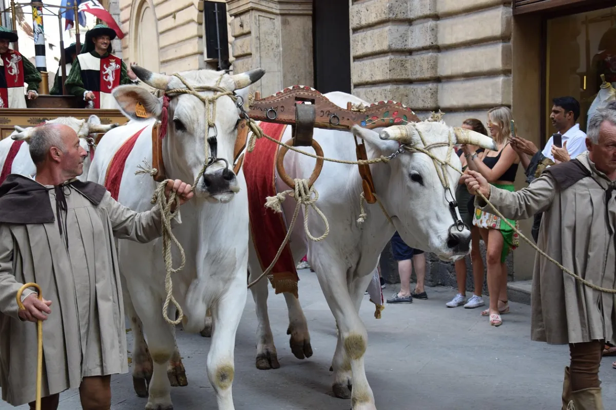 Palio di Siena
